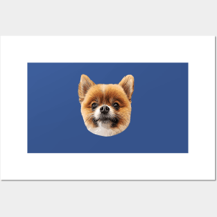 Pomeranian Cute Puppy Dog Pom Posters and Art